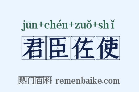君臣佐使是什么意思的图片